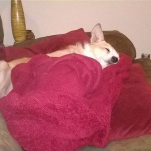 Meet your Posher, Leah